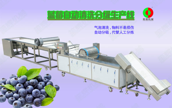 沙河蓝莓/蔬果全自动清洗分级生产线